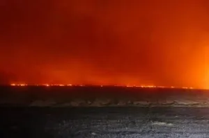 В Башкирии за сутки сгорели 6 участков сухой растительности