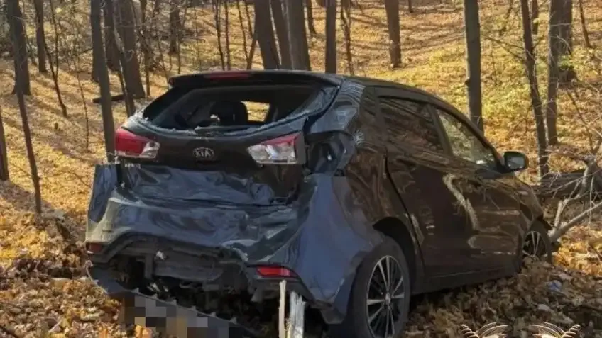 В Уфе Kia Rio после столкновения с ГАЗом врезалась в дерево