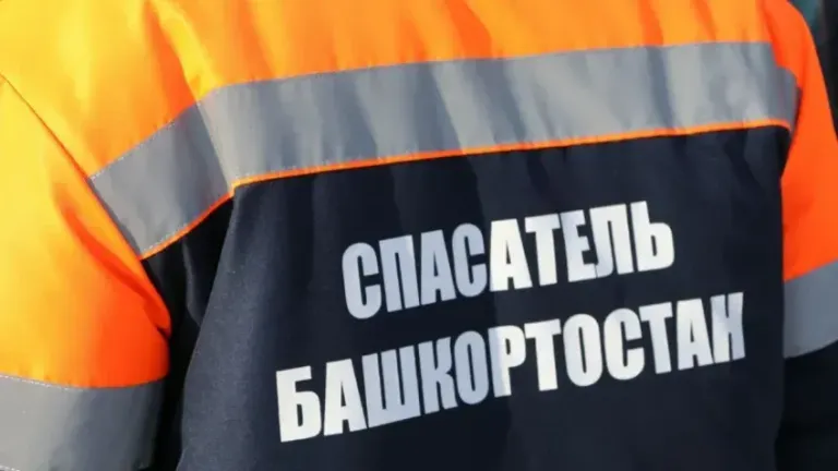 В Башкирии за сутки потушили девять природных пожаров