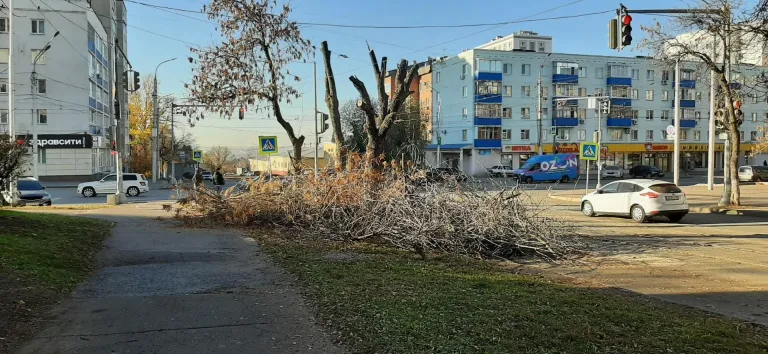 В центре Уфы спилили деревья на улице Свердлова