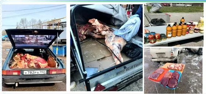 В Уфе зафиксировали 26 очагов бешенства с начала года