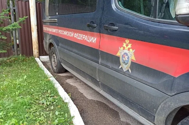 В Стерлитамаке 7-летнюю девочку насмерть придавило шкафом