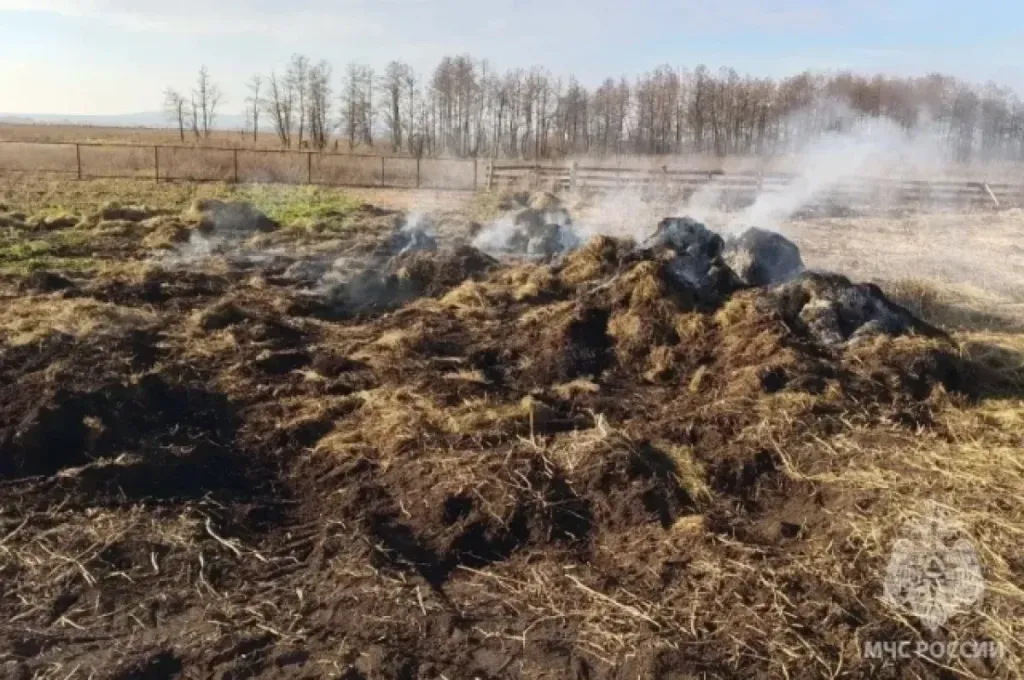Двое детей попали в реанимацию после шалости с зажигалкой в Башкирии